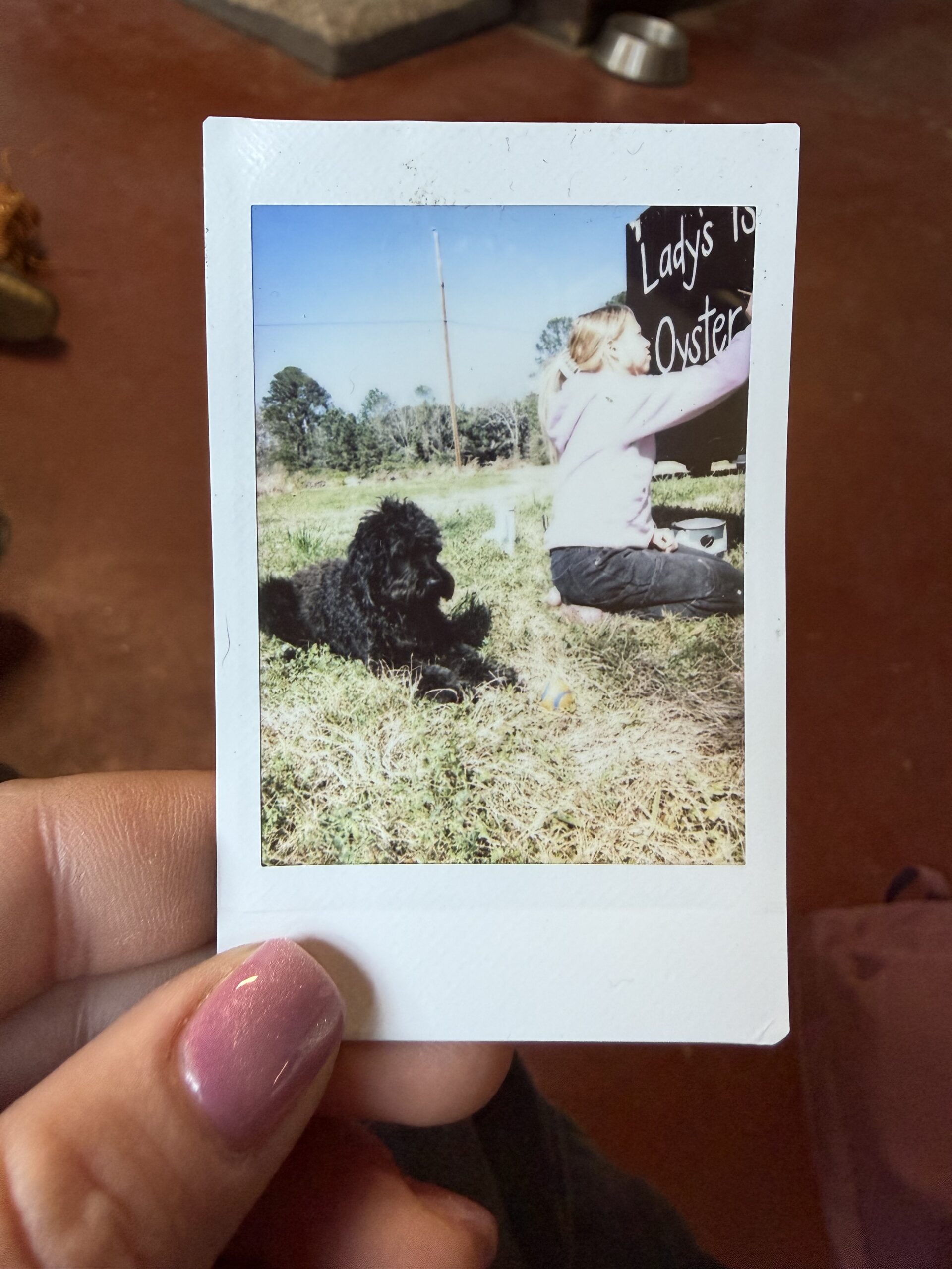 A hand holding a polaroid photo featuring a black dog lying on grass while a woman in a pink hoodie paints a sign that reads 